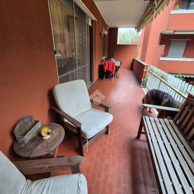 immagine annuncio 5 di 15