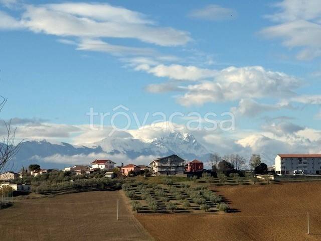 immagine annuncio 5 di 11