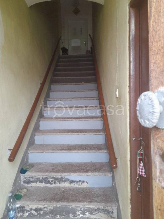 immagine annuncio 7 di 14