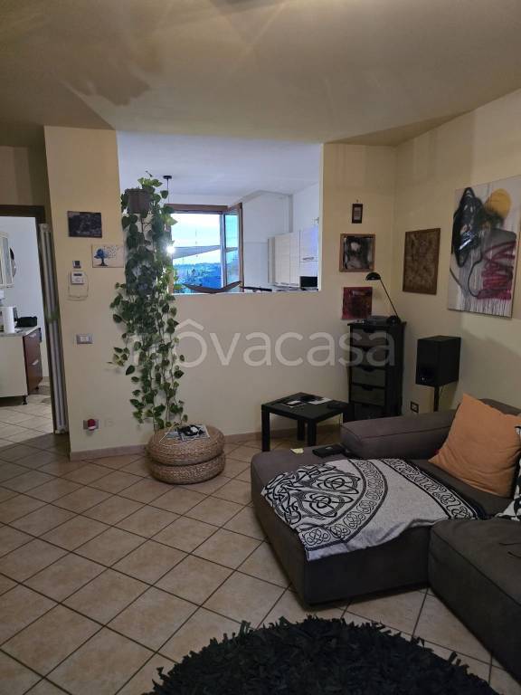 immagine annuncio 3 di 11