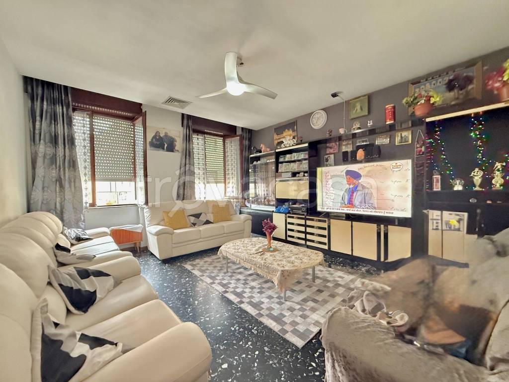 immagine annuncio 1 di 14