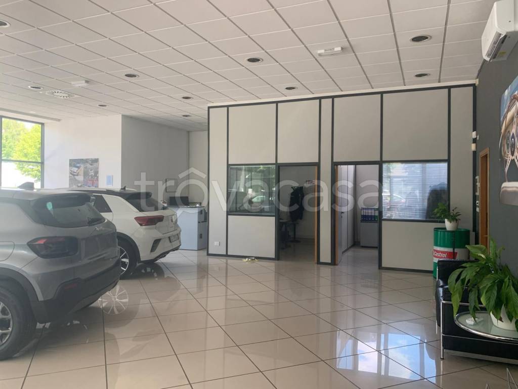 immagine annuncio 9 di 15