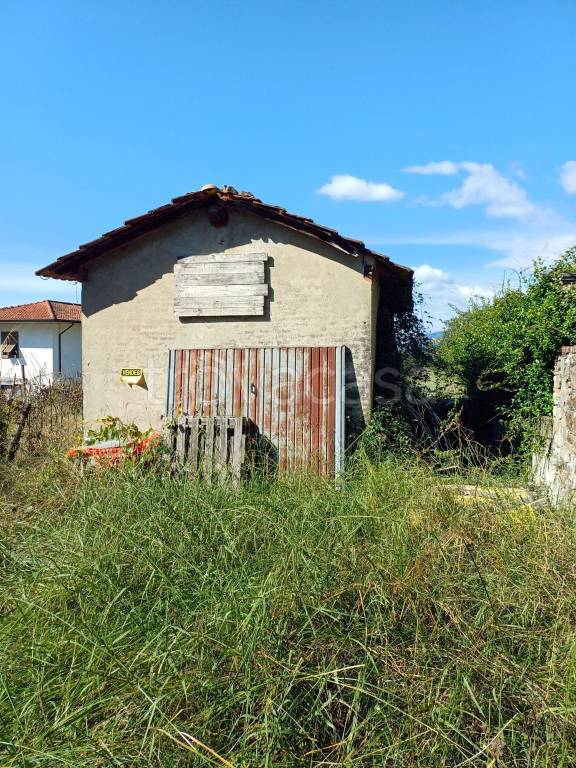 immagine annuncio 4 di 7