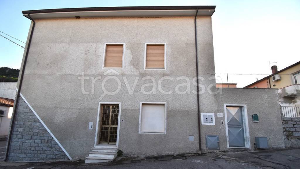 immagine annuncio 1 di 7