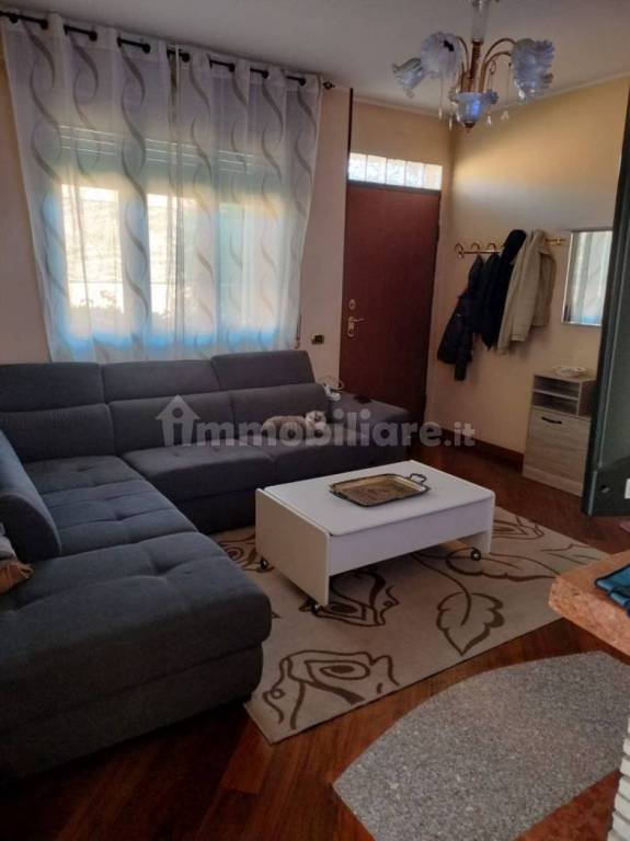 immagine annuncio 6 di 15