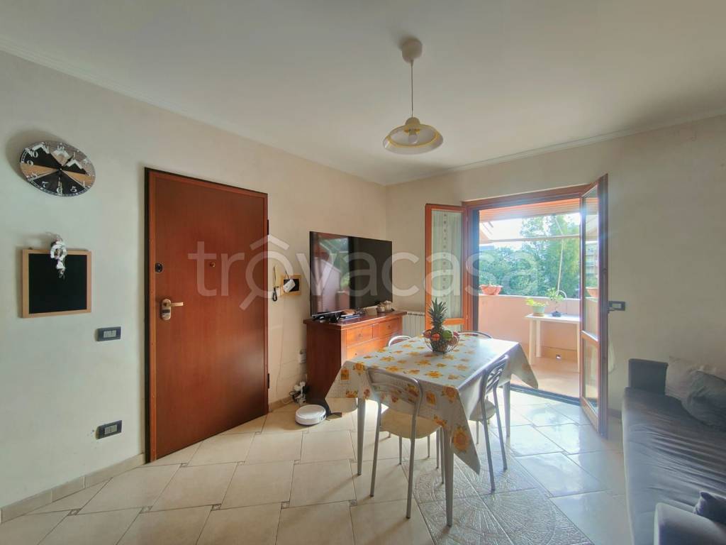 immagine annuncio 3 di 12