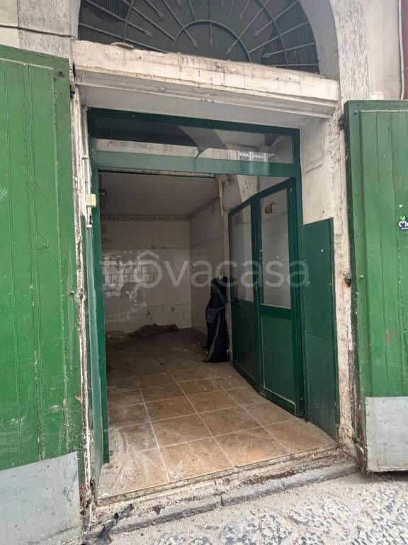 immagine annuncio 9 di 14