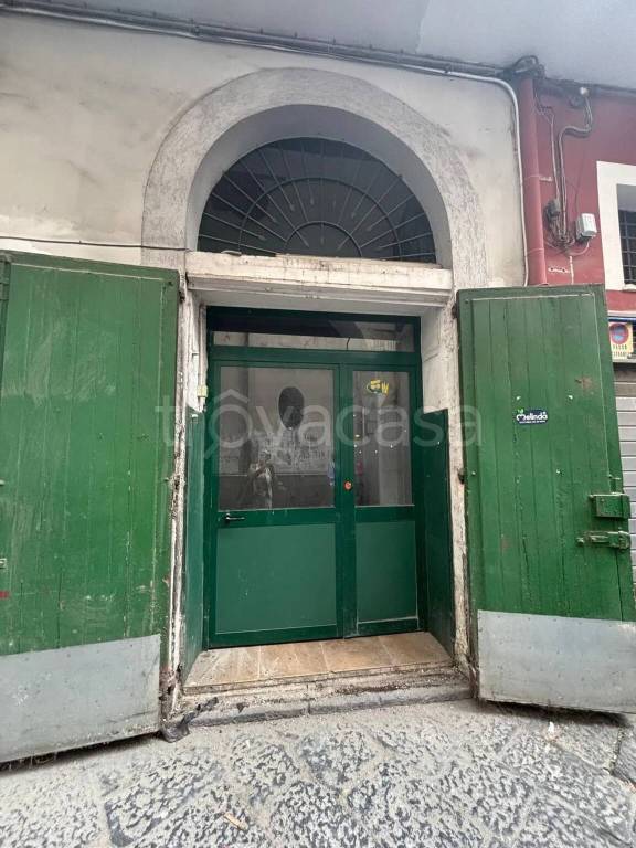 immagine annuncio 11 di 14