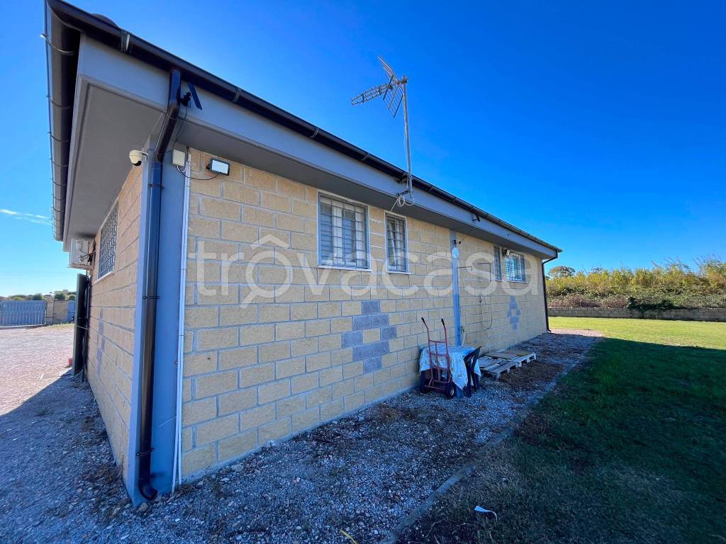 immagine annuncio 9 di 13