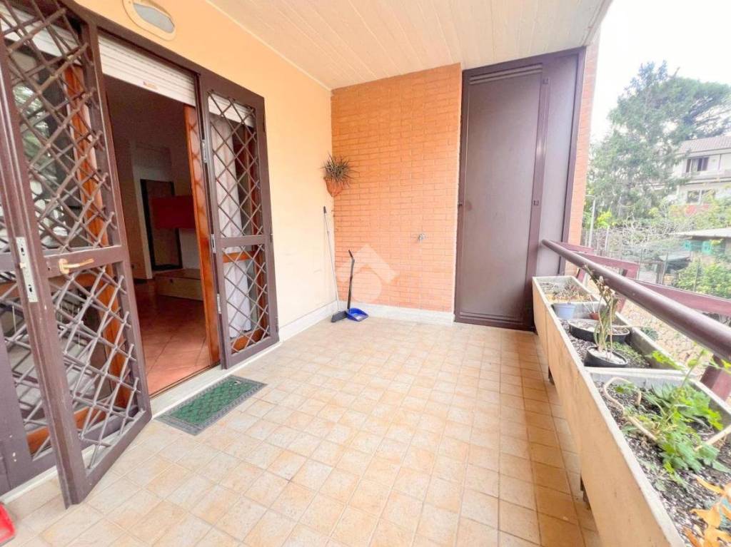 immagine annuncio 5 di 13