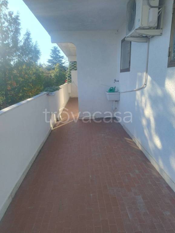 immagine annuncio 12 di 14