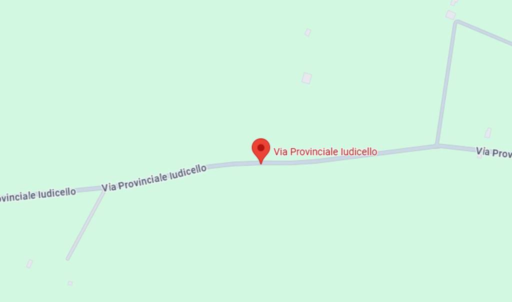 immagine annuncio 2 di 12