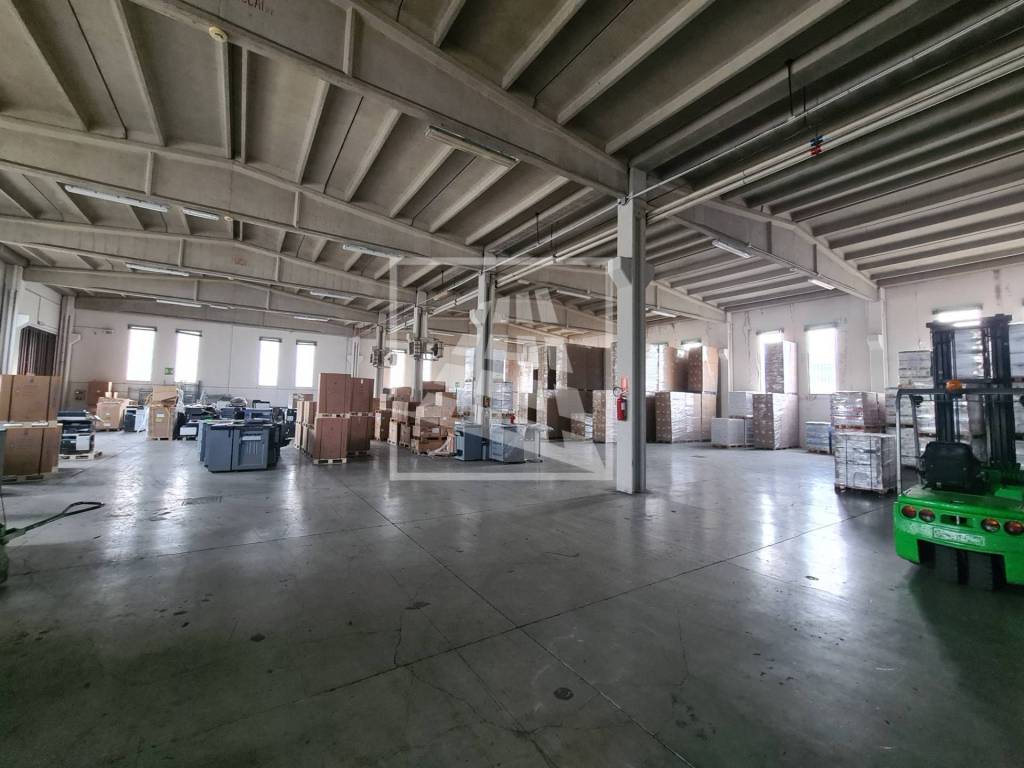 immagine annuncio 1 di 8