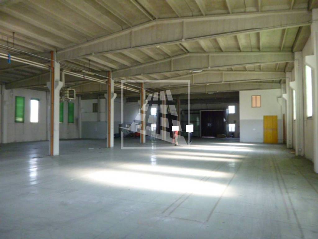 immagine annuncio 3 di 8