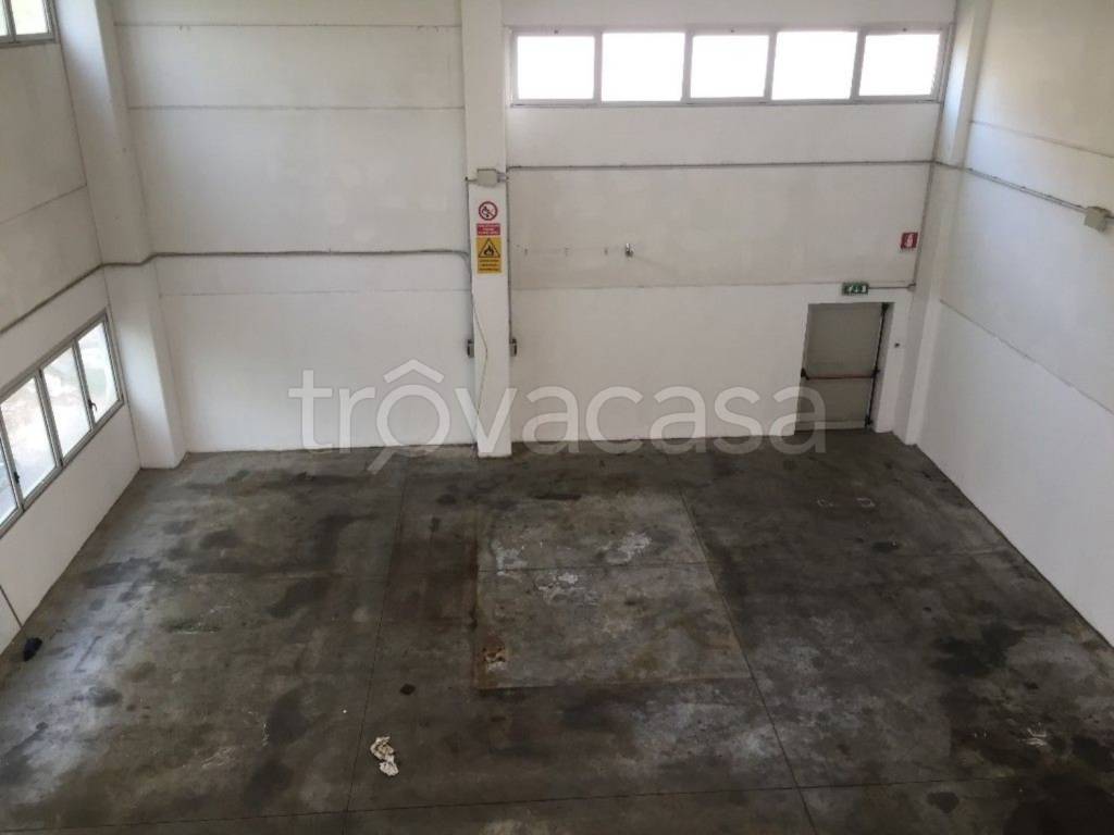 immagine annuncio 3 di 12