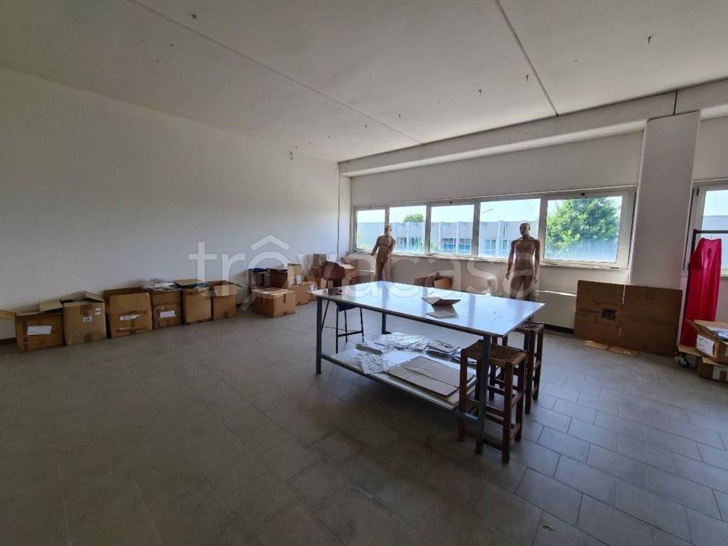 immagine annuncio 8 di 12