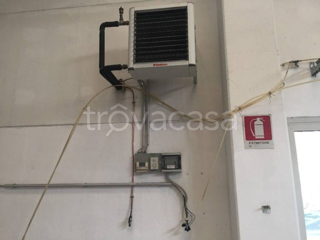 immagine annuncio 10 di 12