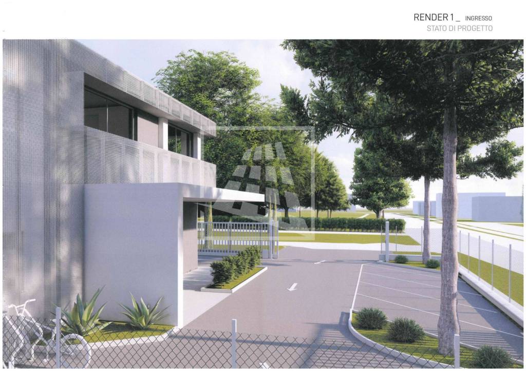 immagine annuncio 1 di 14