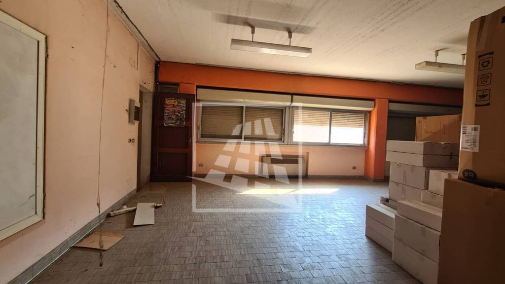 immagine annuncio 7 di 14