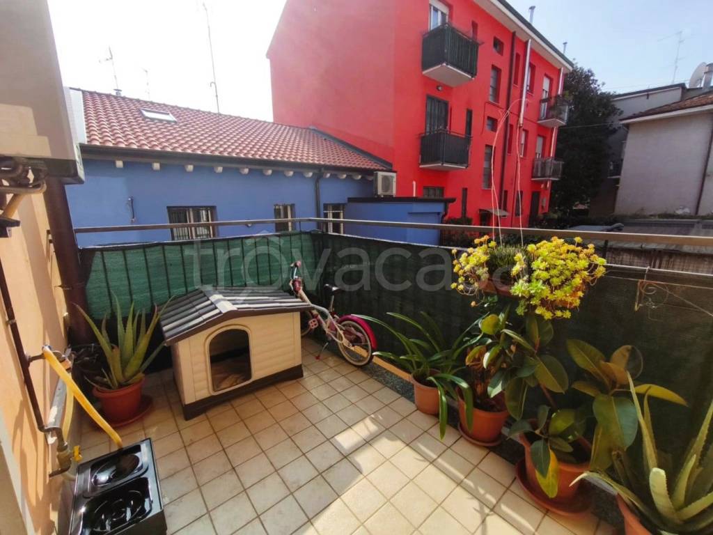 immagine annuncio 11 di 15