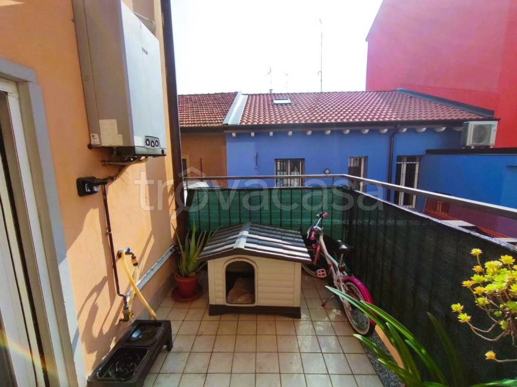 immagine annuncio 12 di 15