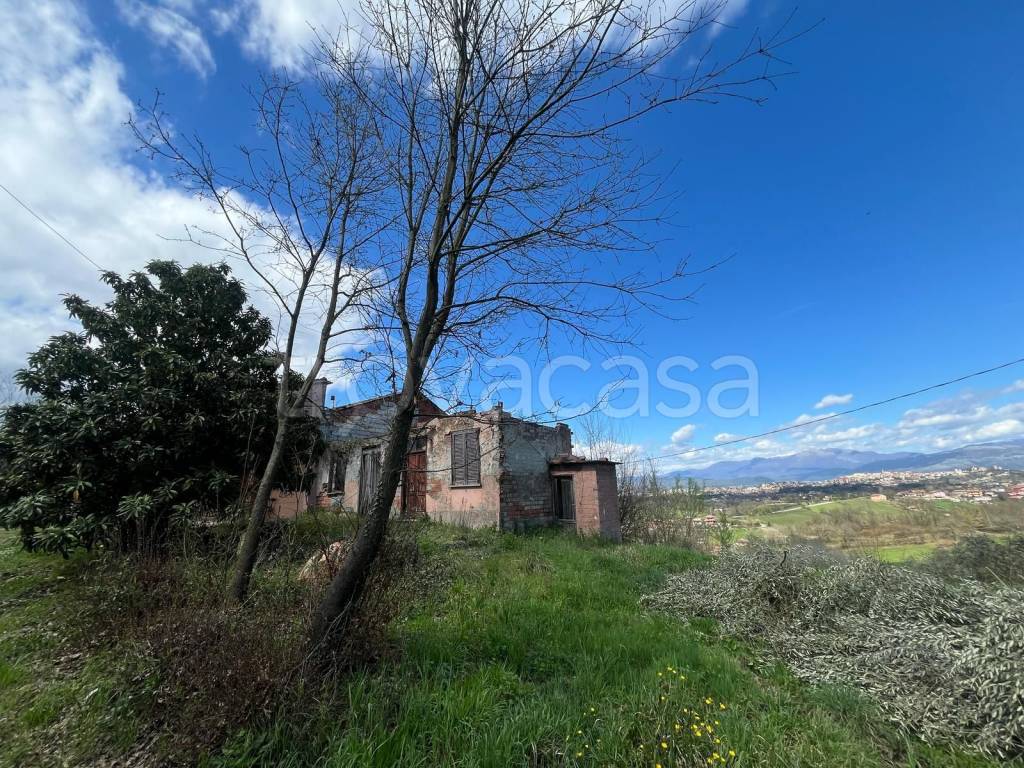 immagine annuncio 11 di 13