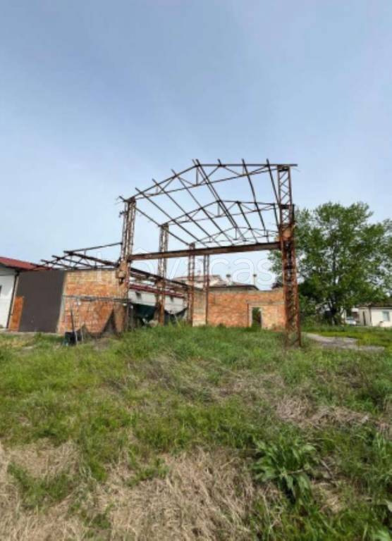 immagine annuncio 3 di 12