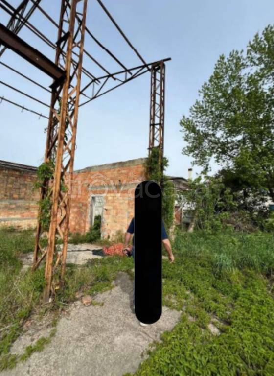 immagine annuncio 4 di 12