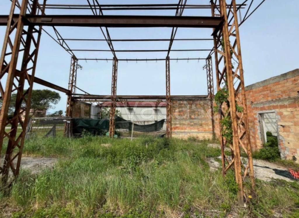 immagine annuncio 5 di 12