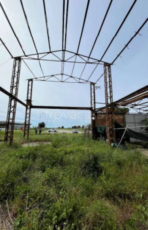 immagine annuncio 8 di 12