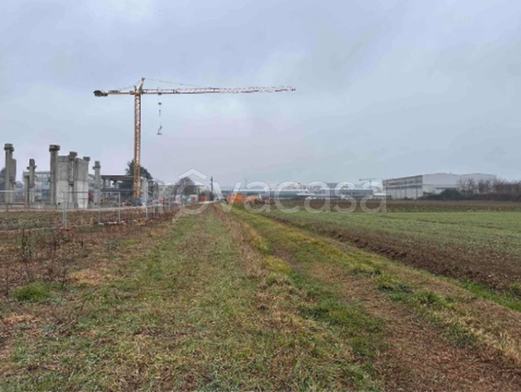 immagine annuncio 2 di 10