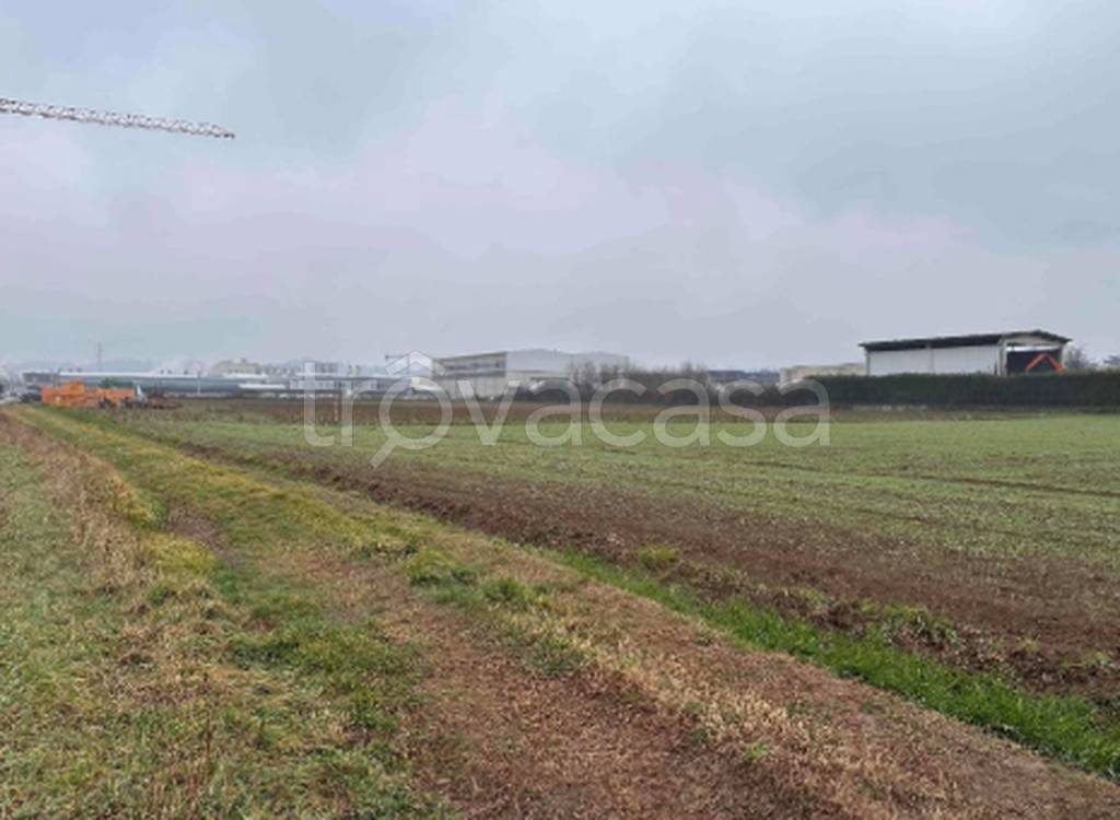 immagine annuncio 9 di 10