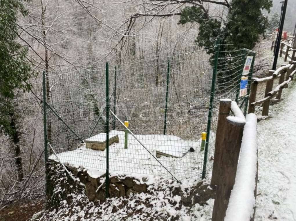 immagine annuncio 5 di 12