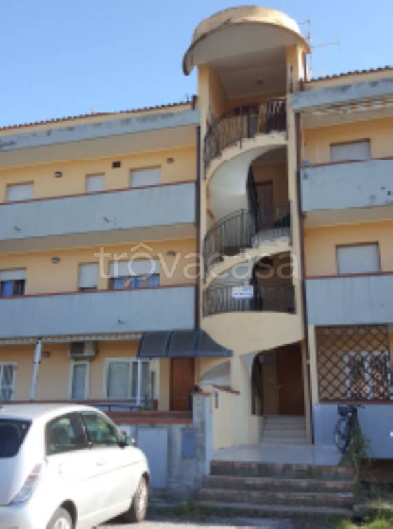 immagine annuncio 10 di 14