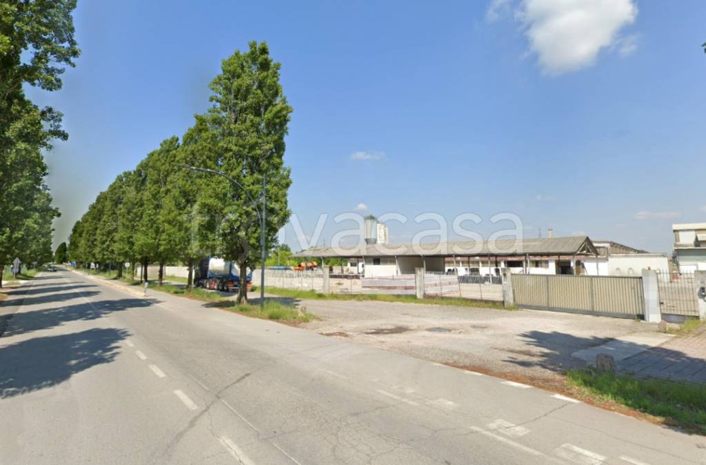 immagine annuncio 2 di 12