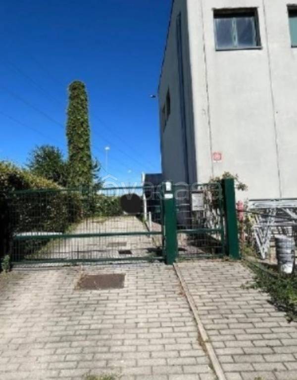 immagine annuncio 4 di 15