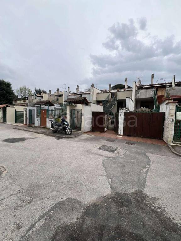 immagine annuncio 1 di 14