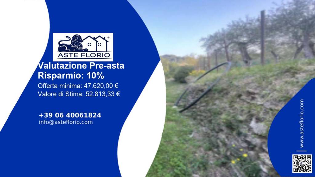 immagine annuncio 1 di 12