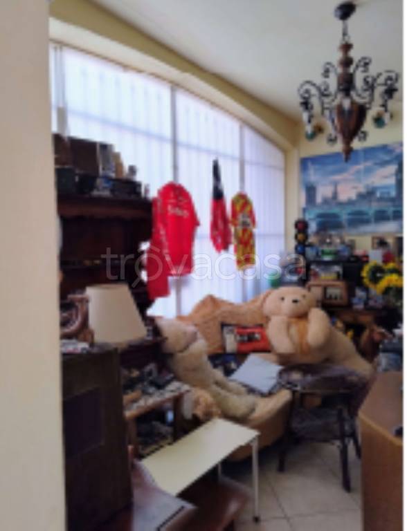 immagine annuncio 4 di 14