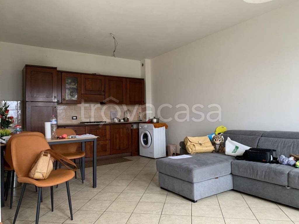 immagine annuncio 5 di 12