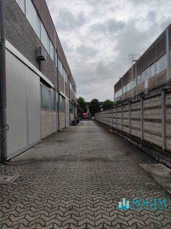 immagine annuncio 5 di 9