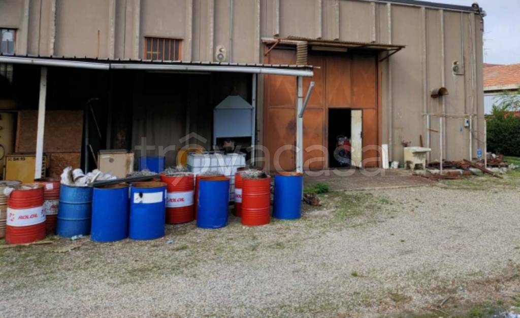 immagine annuncio 6 di 11