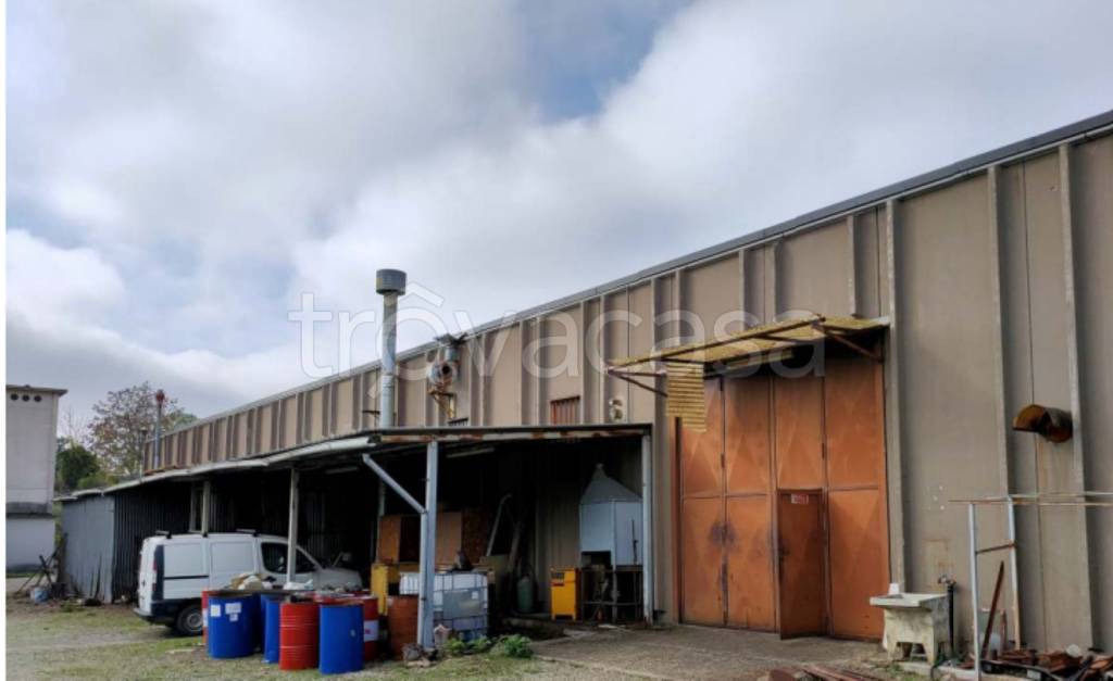 immagine annuncio 7 di 11