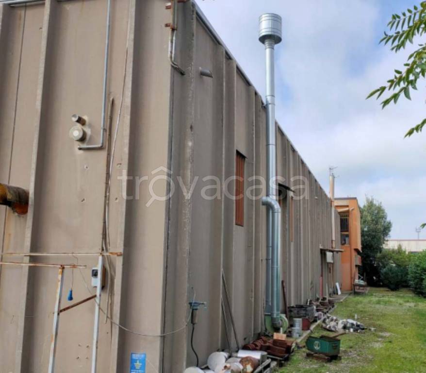 immagine annuncio 8 di 11