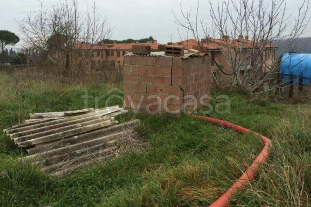 immagine annuncio 3 di 13