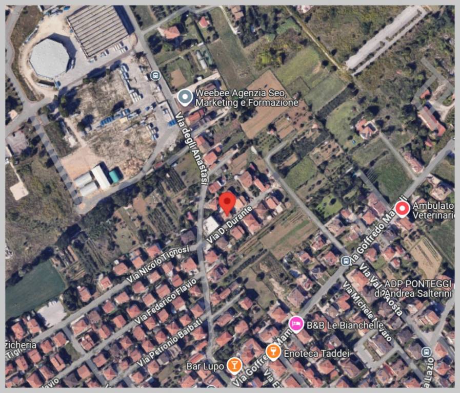 immagine annuncio 11 di 15