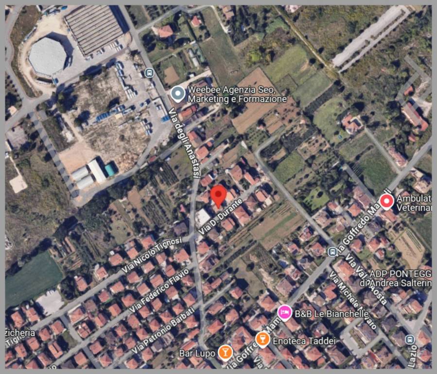 immagine annuncio 7 di 15