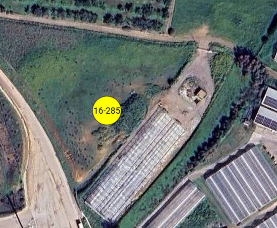 immagine annuncio 10 di 12