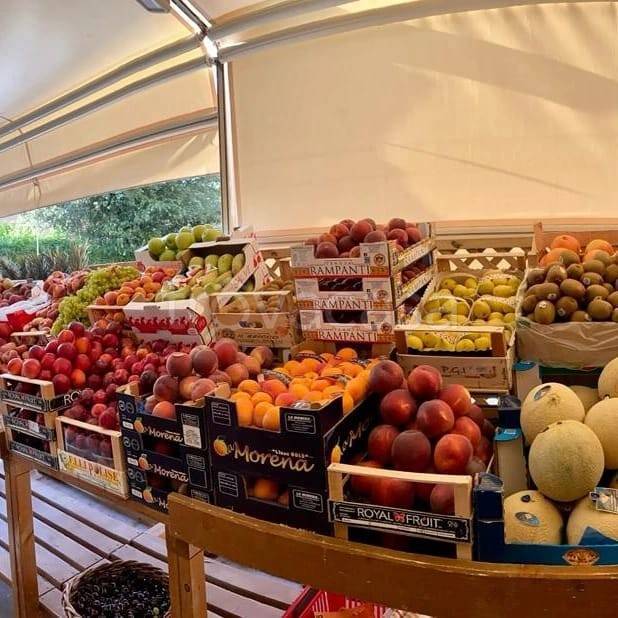 immagine annuncio 2 di 7