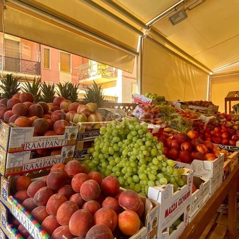 immagine annuncio 3 di 7